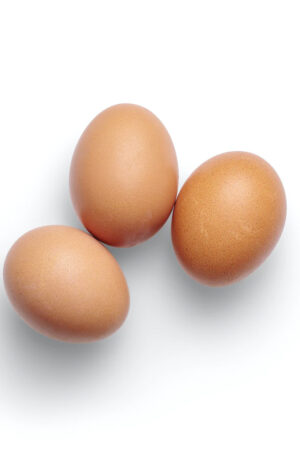 eggs